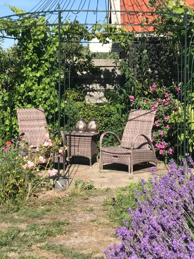 T Huuske Tuinappartement Met Fantastisch Uitzicht, Nabij Zee Zonnemaire エクステリア 写真