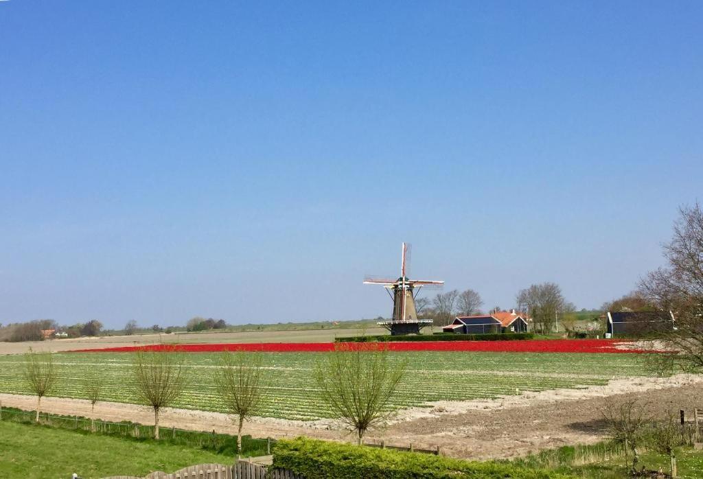 T Huuske Tuinappartement Met Fantastisch Uitzicht, Nabij Zee Zonnemaire エクステリア 写真