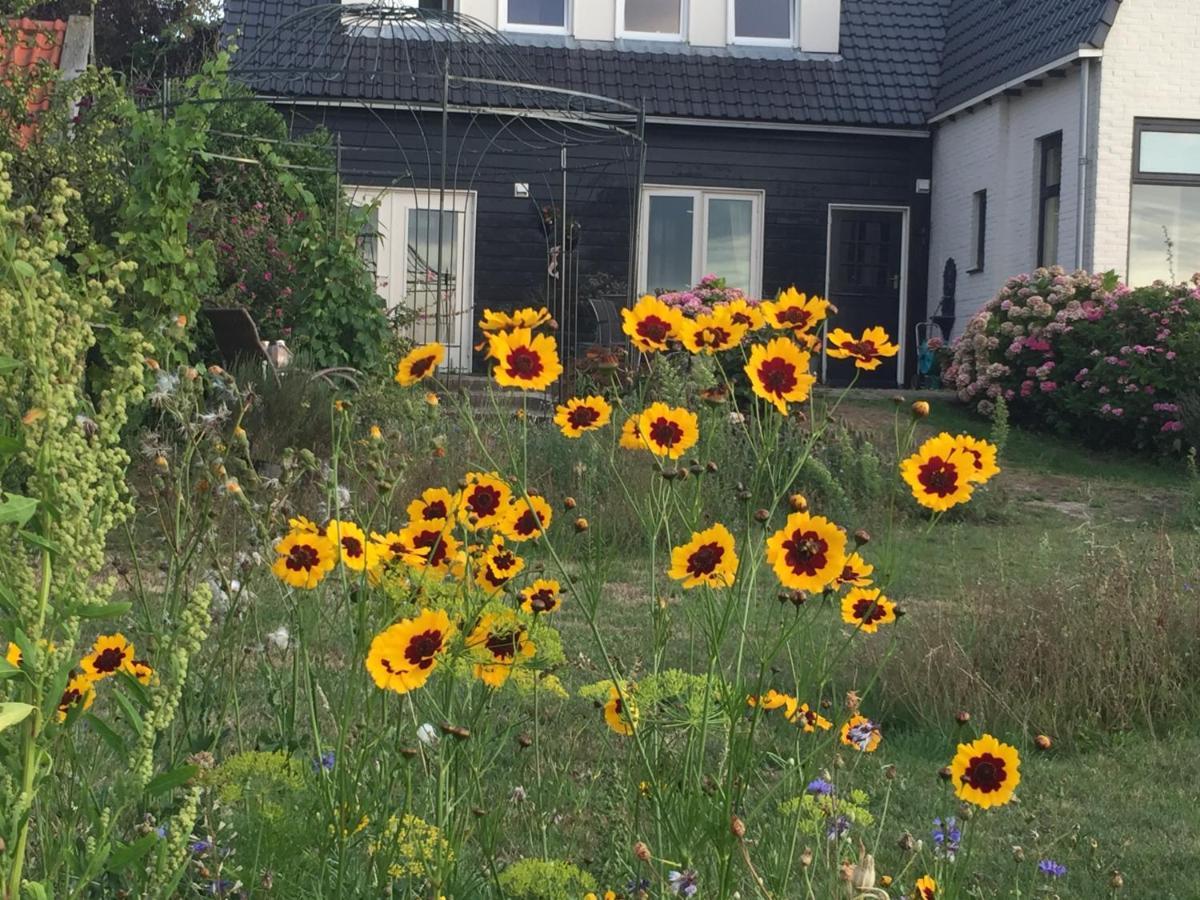 T Huuske Tuinappartement Met Fantastisch Uitzicht, Nabij Zee Zonnemaire エクステリア 写真